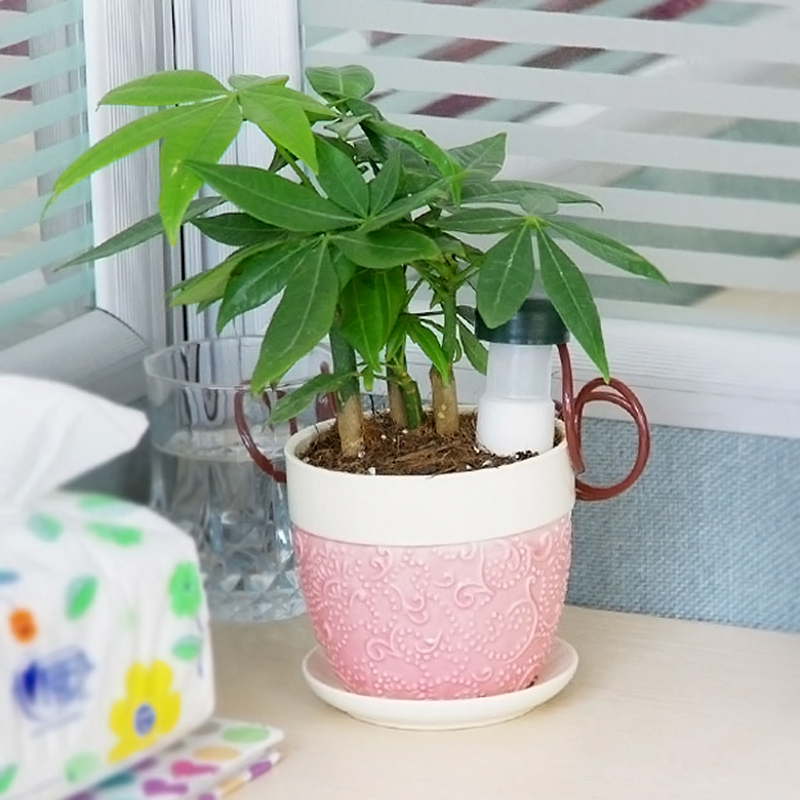 2X Indoor Drip Automatic Spike Waterer Tender Houseplant