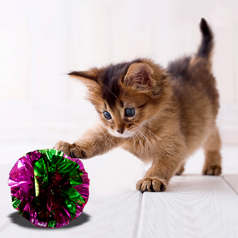 crinkle ball cat toy