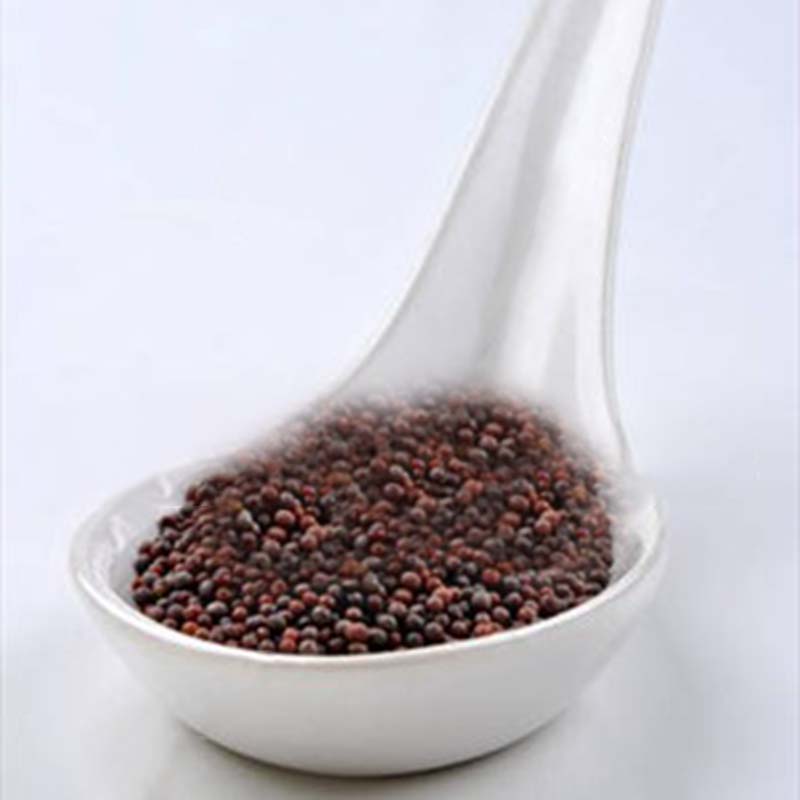 100/200pcs/Lot Wasabi Seeds Japanese Horseradish Seed Vegetable Plant