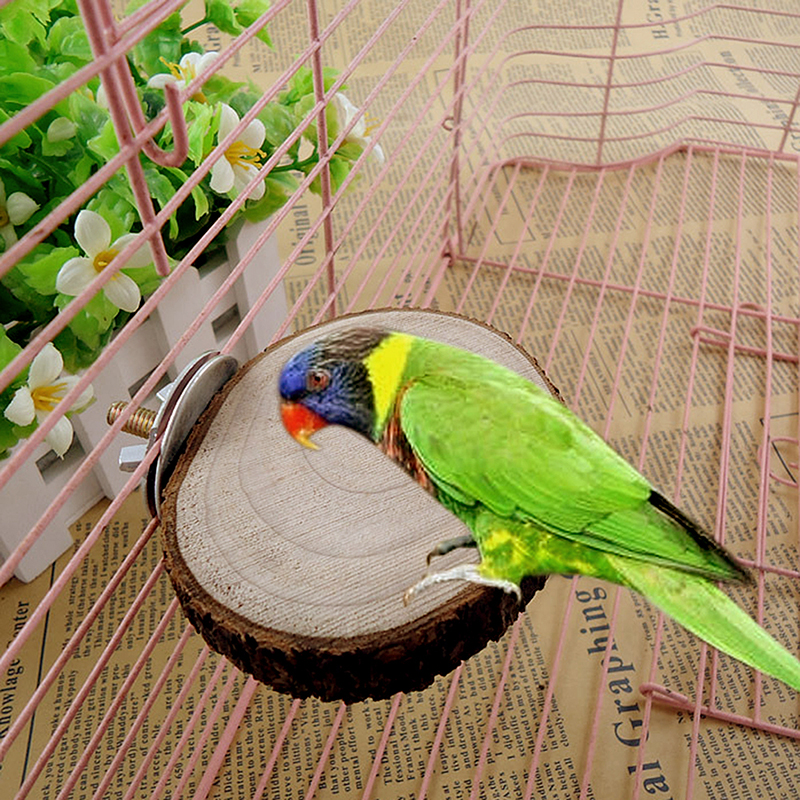 Round Wood Coin Parrot Birds Cage Perches Stand Platform Pet Budgie