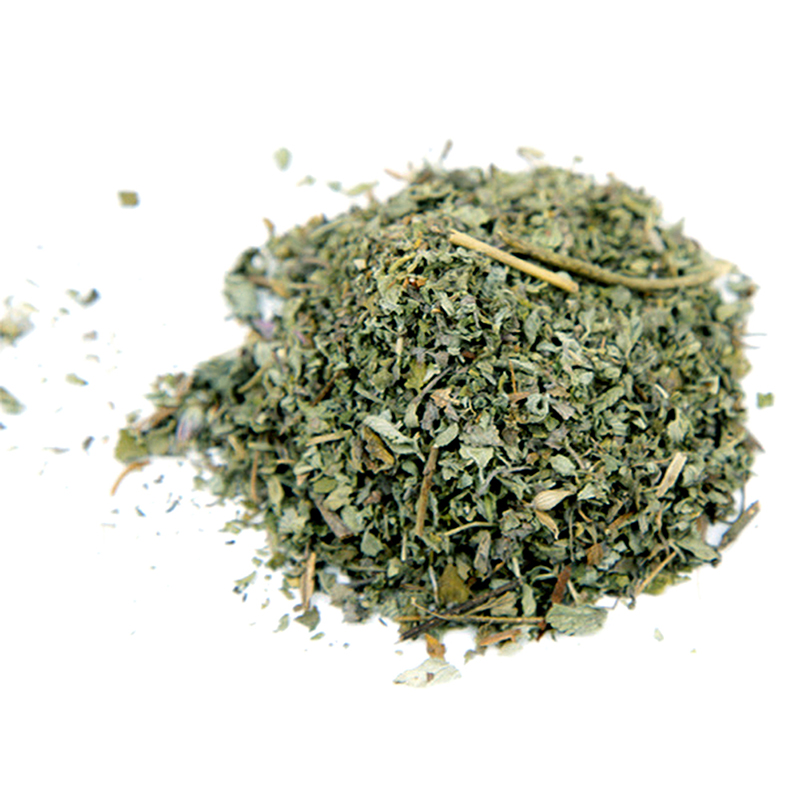Fresh Organic Dried Catnip Nepeta cataria Leaf & Flower Herb oz Bulk eBay