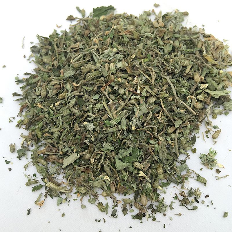Fresh Organic Dried Catnip Nepeta cataria Leaf & Flower Herb oz Bulk eBay