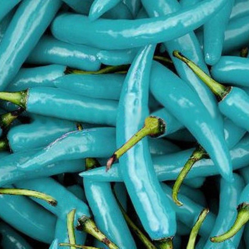 Blue Pepper Enterprises at Mabel Davis blog