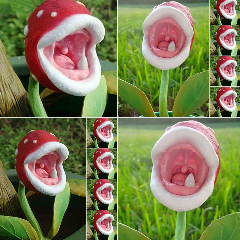 Red Mouth Type Insect Catching Plant Enchantress Red Mouth Type Insect Catching Plant Enchantress
