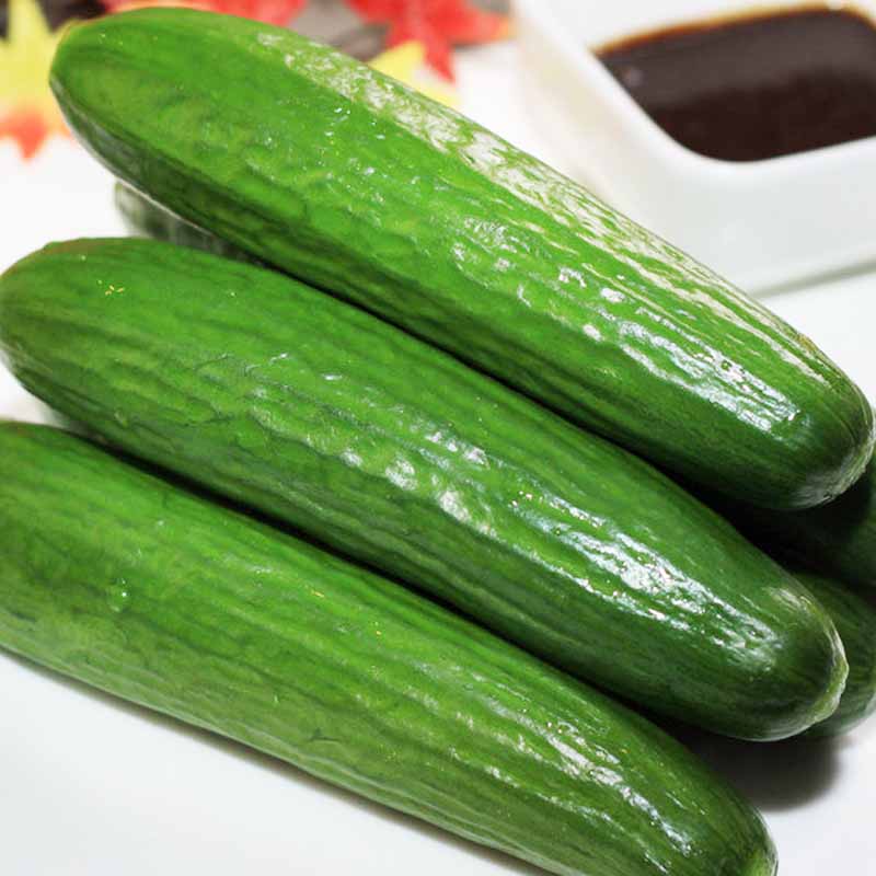 Huge cucumber Huge cucumber