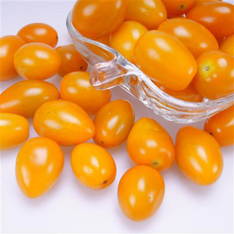 50pcs Super Sweet Yellow Grape Tomato Seeds! Organic Golden Tiny Tomatoes Cherry eBay