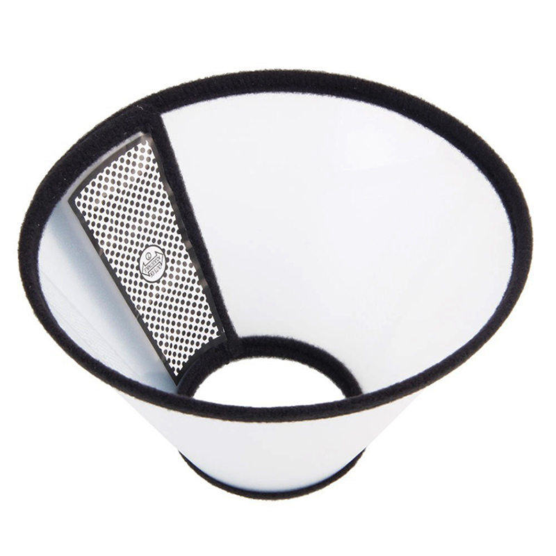 protective collar elizabethan wound healing cone beautify shower protective collar ebay protective collar elizabethan wound healing cone beautify shower protective collar ebay