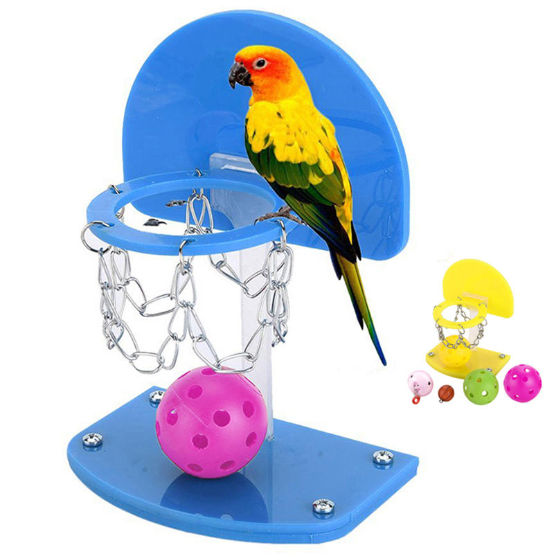 Intellectual Training Bird Toy Basketball Parrot Basketball Hoop Trick