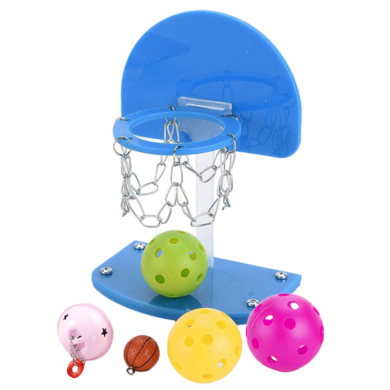 Intellectual Training Bird Toy Basketball Parrot Basketball Hoop Trick ...