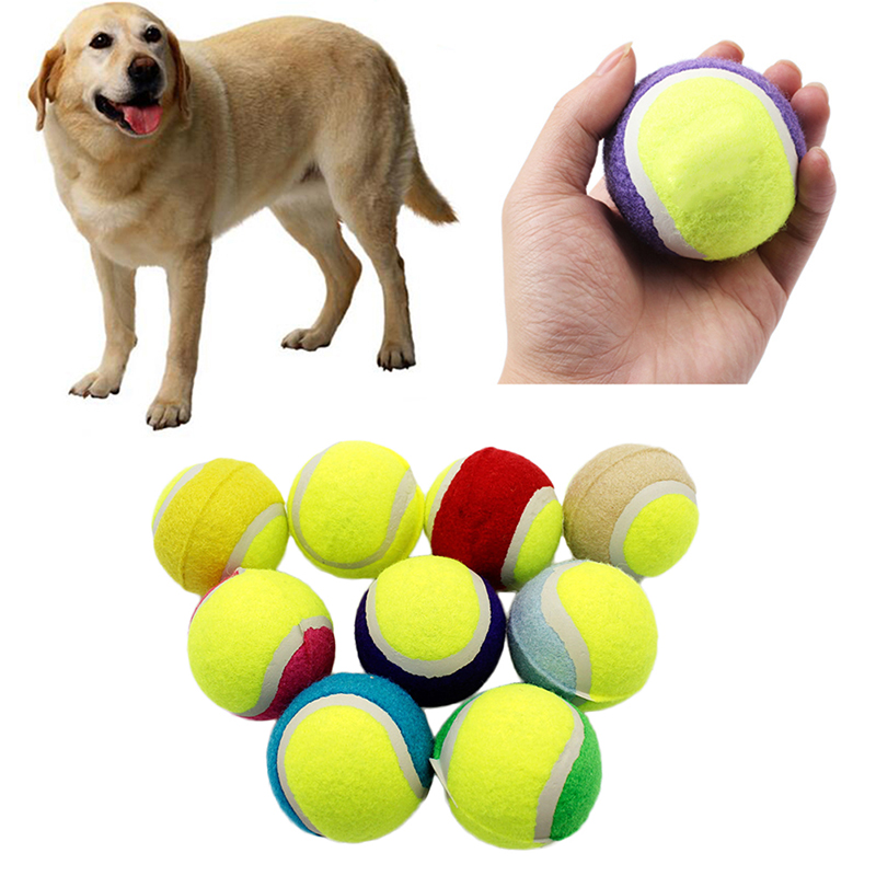 Ball chuckers for dogs Clearance