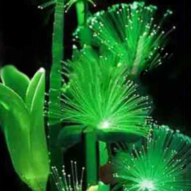 Rare! 100Pcs Emerald Fluorescent Flower Seeds, Night Light