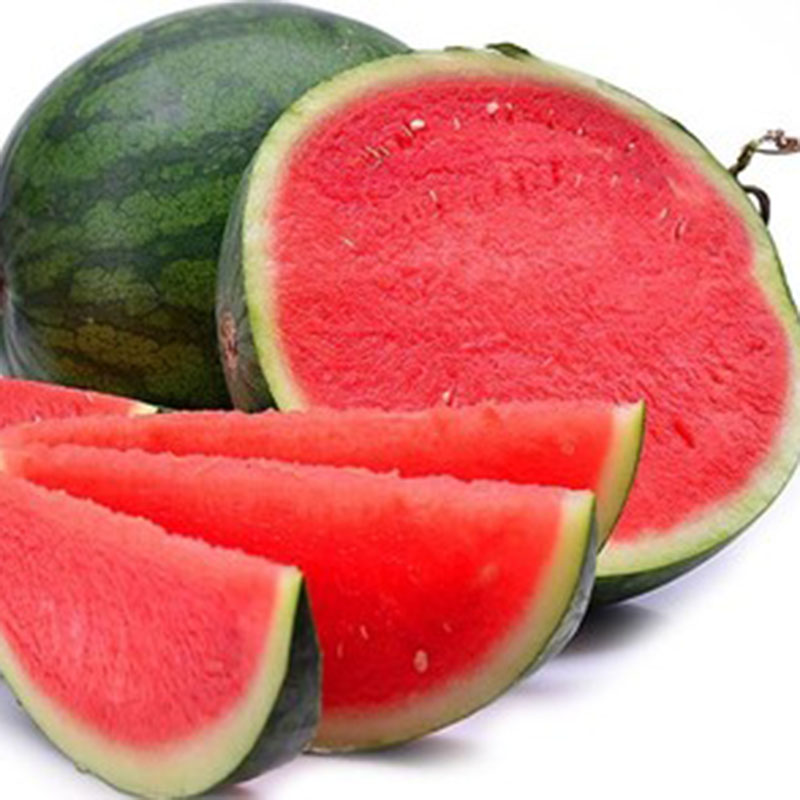 7 Basic How To Grow Seedless Watermelons Work