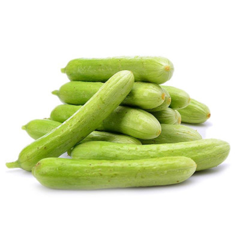 100 stk Seeds Gurke Weißer Engel Rarität Gurkensamen Pflanze Gemüsesamen HOT