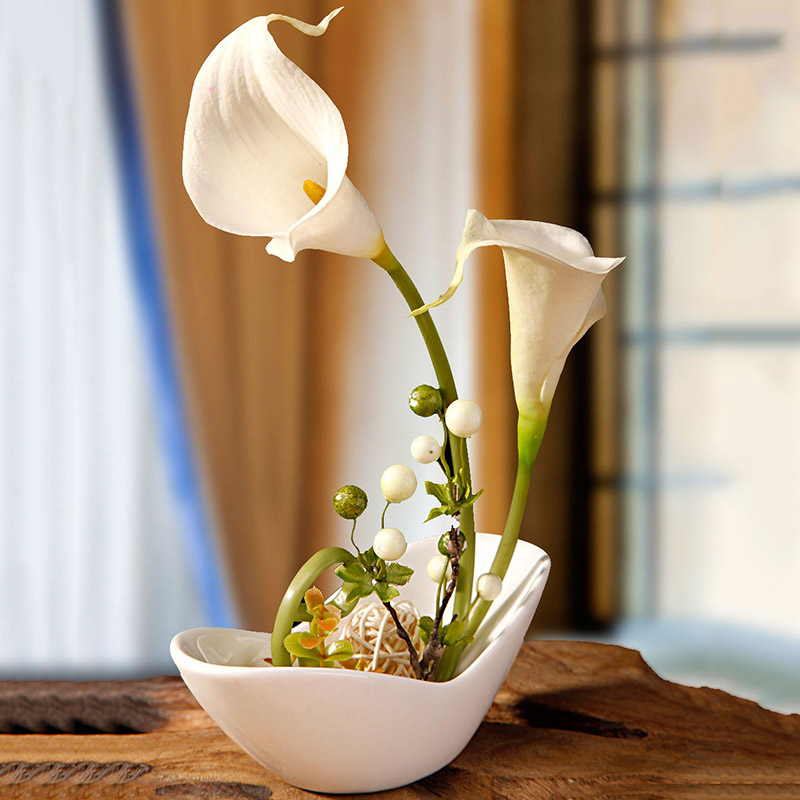 2Pc Bulbs True Calla Lily Bulbs Calla Bulbs Not Calla Lily Seed Flower