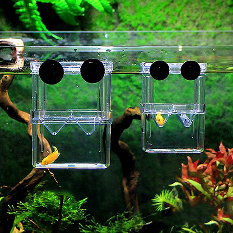 Floating Aquarium Fish Breeding Tank Breeder Box Fry Trap Hatchery Aquarium Fish Breeding Tank Breeder Box