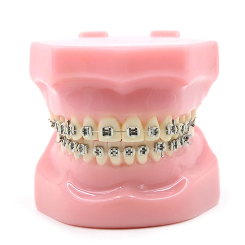 20 Pcs/Pack Orthodontic Dental No Hook Edgewise Metal Brackets Braces