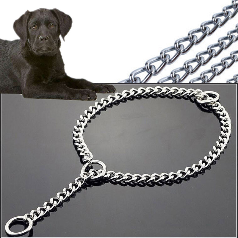 dog chain necklace collar