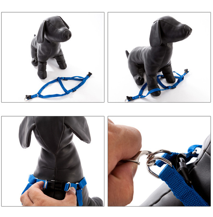 More For Cats And Dogs Geschirr