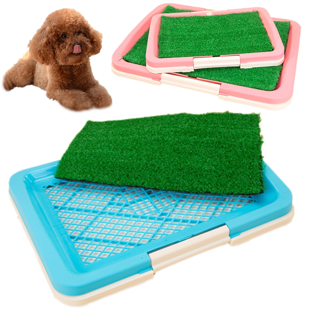 puppy potty trainer indoor grass