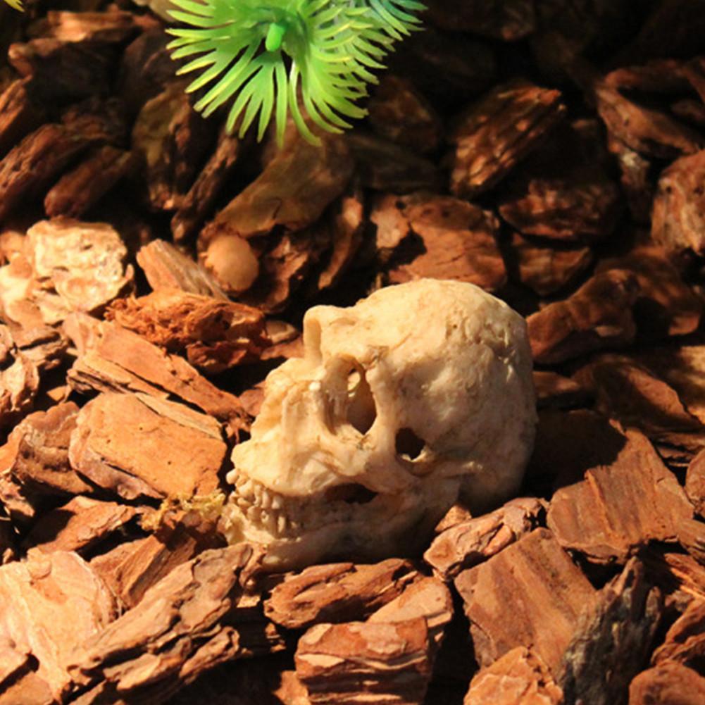 1X Design Aquarium Skull Head Ornament Fish Tank Decoration N6C8 eBay
