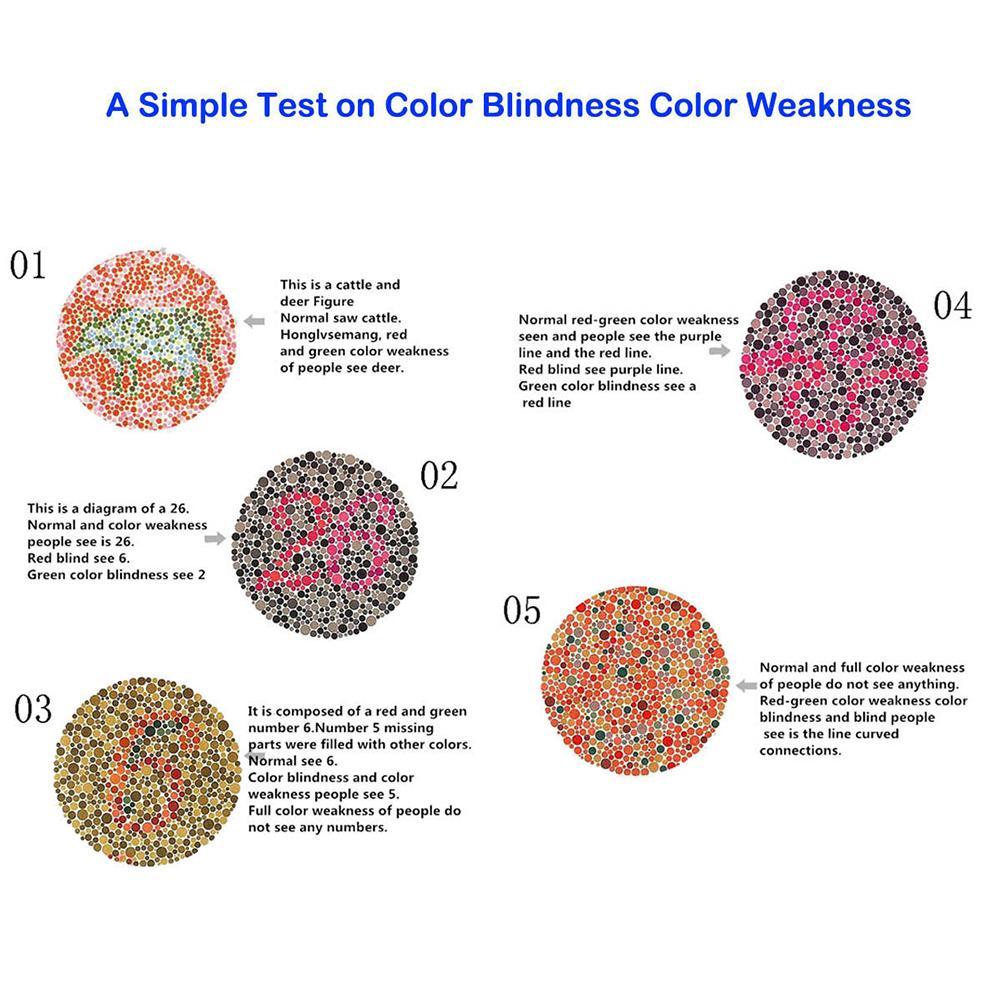 HOT NEWEST 38 PLATE ISHIHARA TEST BOOK COLOR BLINDNESS EYE ...
