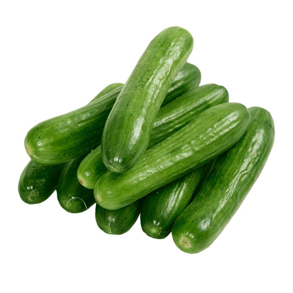 60stk Samen·Salatgurke Perfection Gurke Schlangengurke Gurken Gurkensamen!