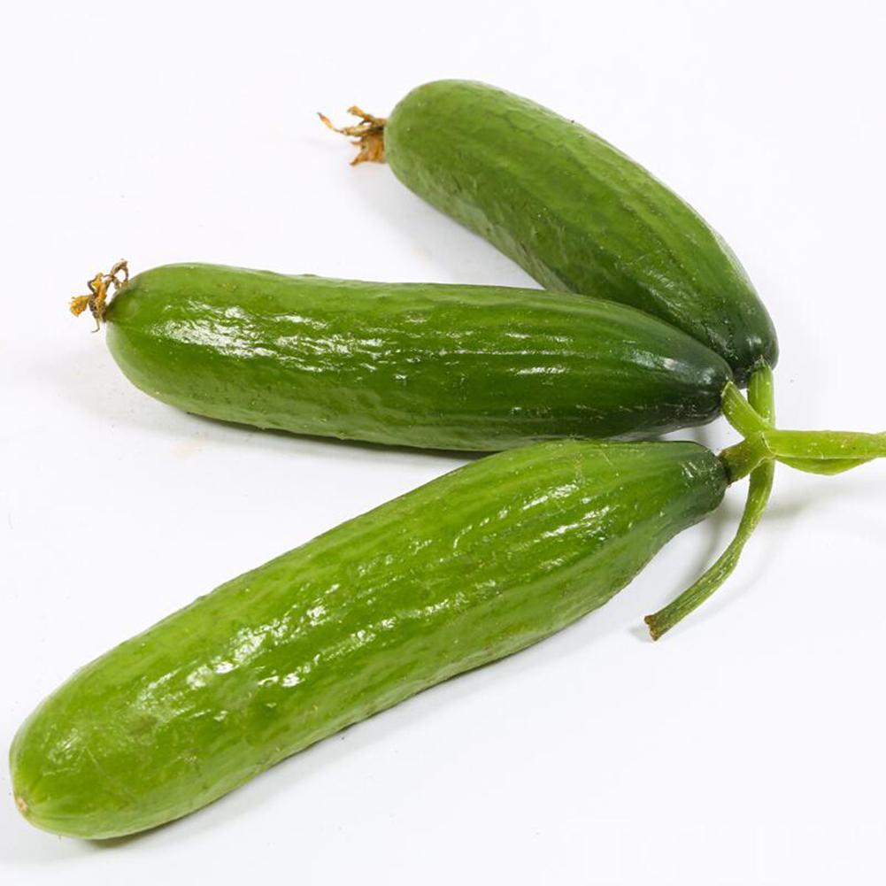 60stk Samen·Salatgurke Perfection Gurke Schlangengurke Gurken Gurkensamen!