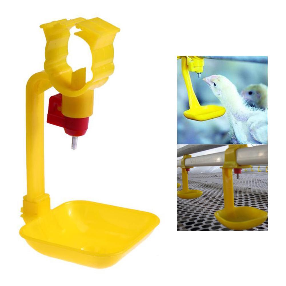 Bird Feeder Water Feeding Automatic Drinker Parrot Pet Dispenser w/Ball Nipple