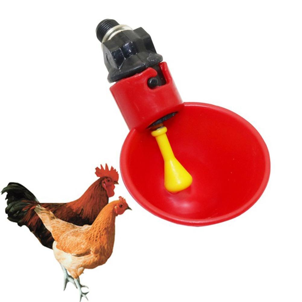 Details About Bird Coop Feed Automatic Poultry Water Drinking Cups Chicken Fowl Drinker Su De Show Original Title