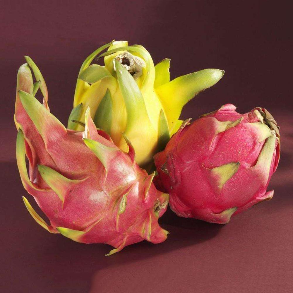 200stk 4 Arten Mix Pitaya Drachenfrucht Samen Duftenden Kaktus Selten Exotisch