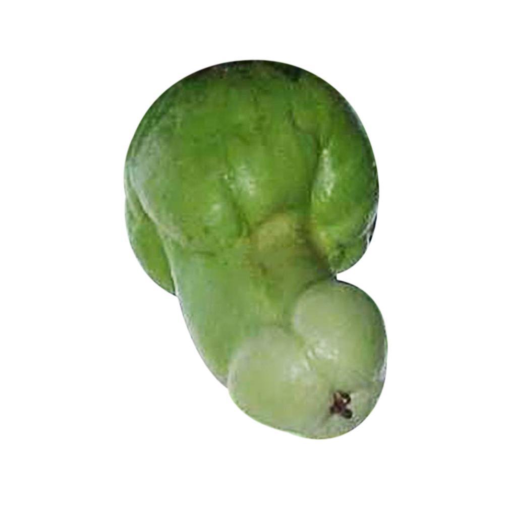 30stk//Bag Kürbiskerne Seltene Melonen Bio Gemüsesamen Hausgarten Samen Neu