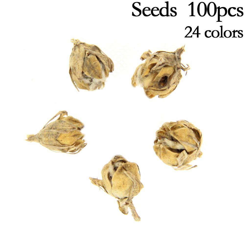 100pcs 24 Colors Giant Hibiscus Seeds Dinner plate Hibiscus Perennial