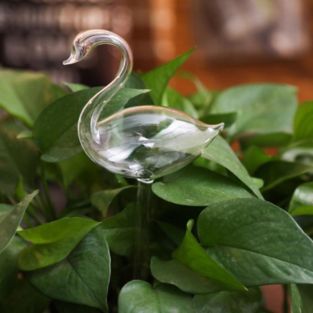 Garden Patio Glass Plant Flower Water Feeder Self Watering Bird
