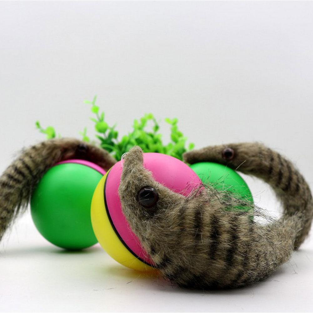 rough n tough cat toys