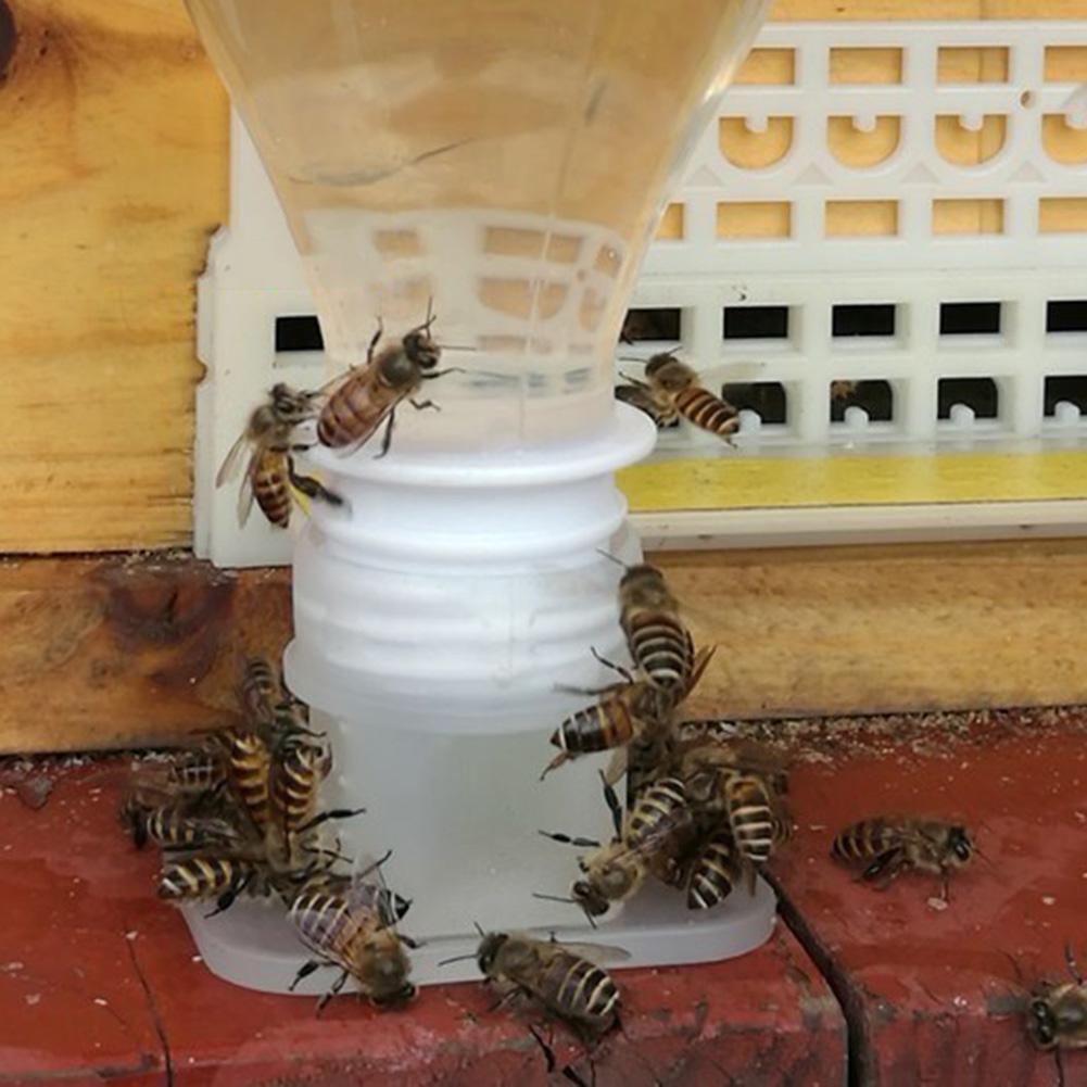 Plastic Bee Feeder Water Drinking Fountain Jar Beekeeper Beekeeping Tool