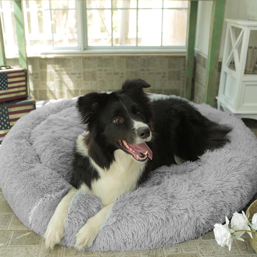 absolut dog bed