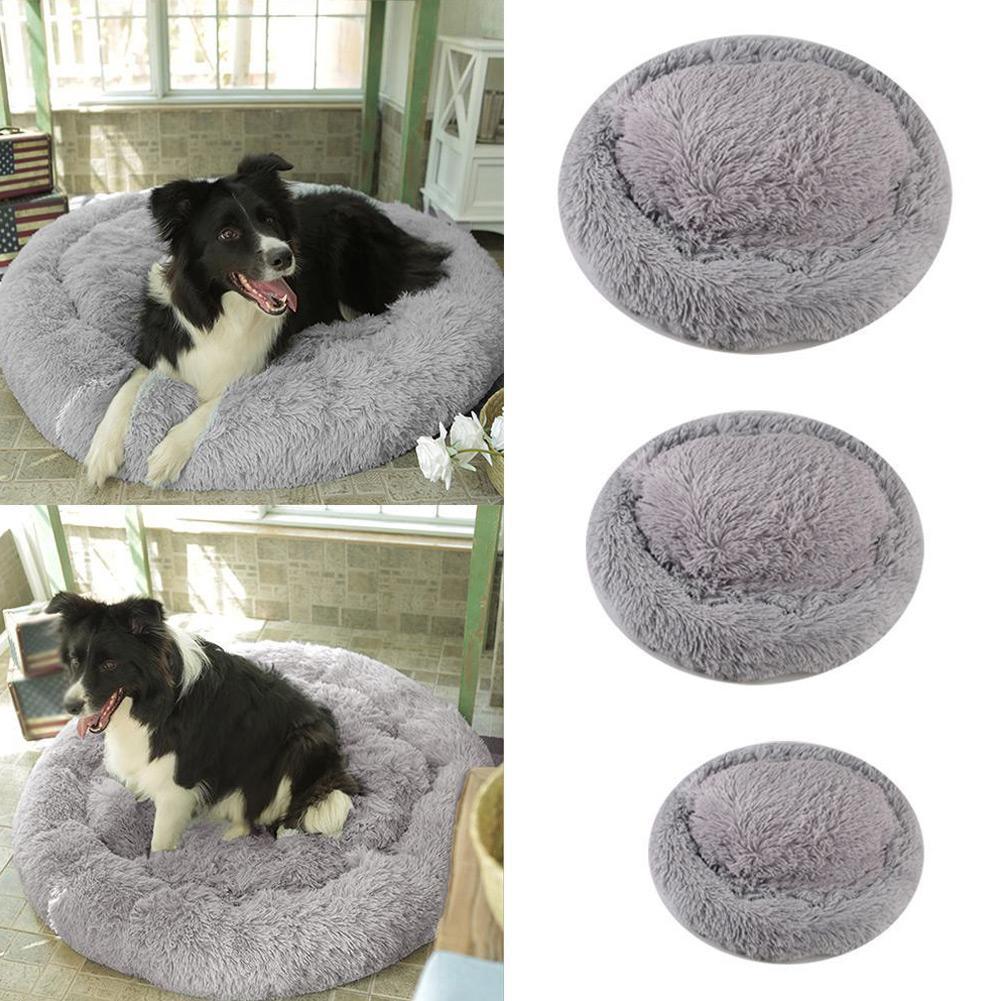 absolut soothing dog bed