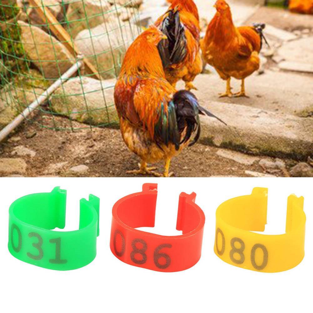 Hopfekästchen Ringe Aus Plastik - 10 Bunte Reifen Für Bewegungsspiele Kinder