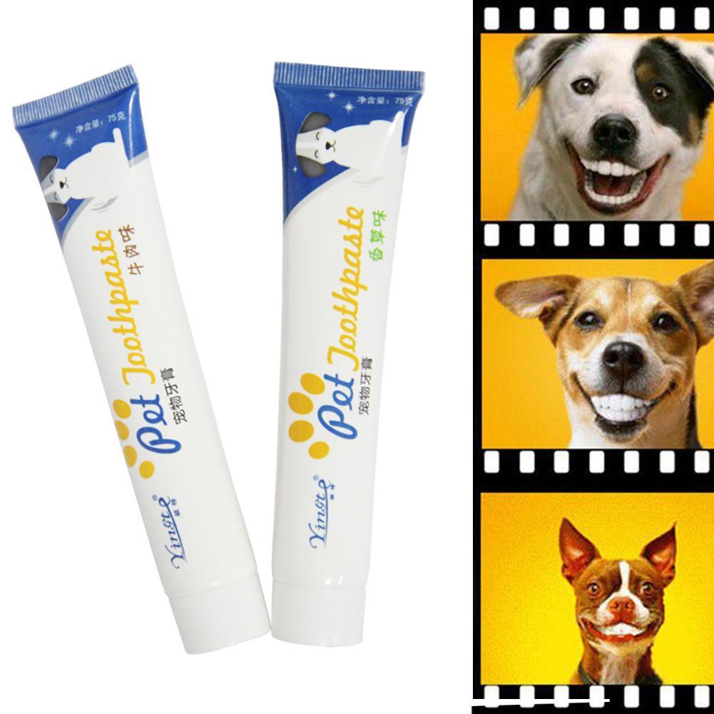 dog teeth cleaning products