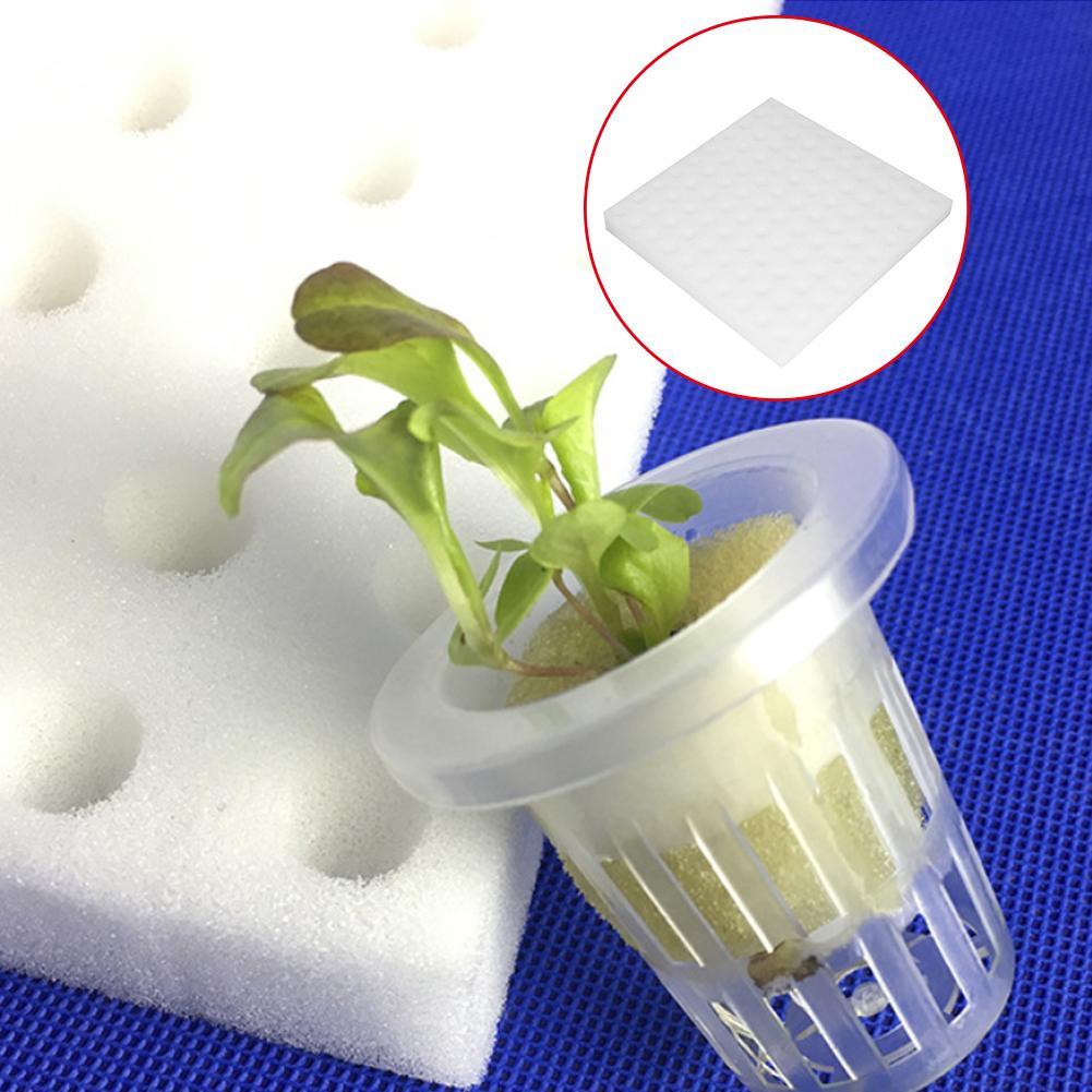 100x/Set Hydroponic Sponge Plant Gardening Tool Sponges For Greenhouse