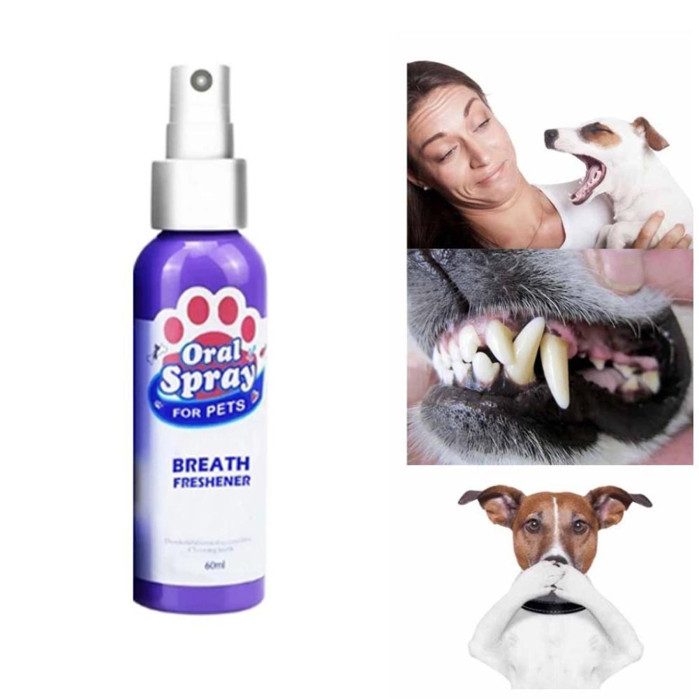 Spray For Dogs Teeth And Breath TeethWalls
