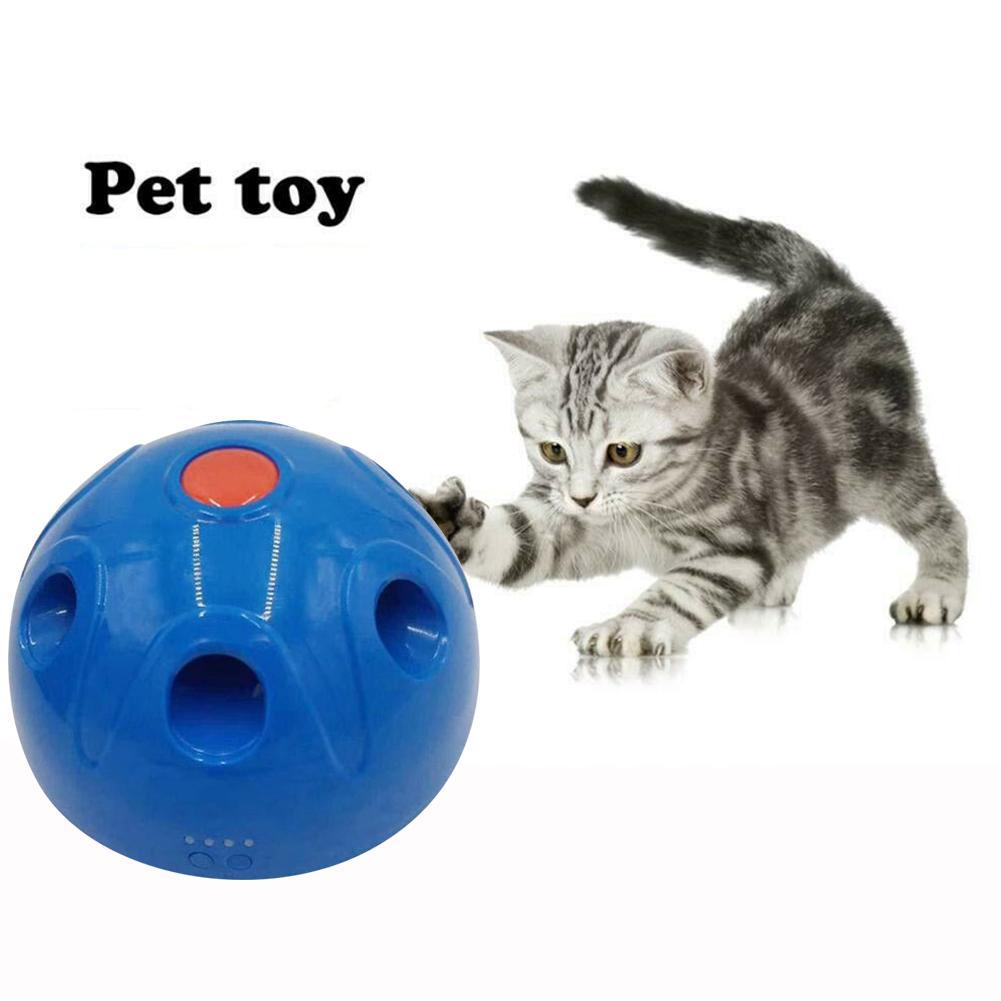 interactive motion cat toy