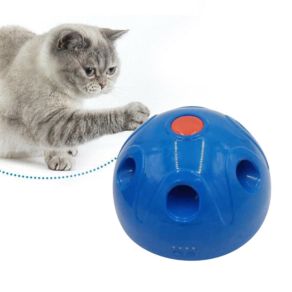 interactive motion cat toy