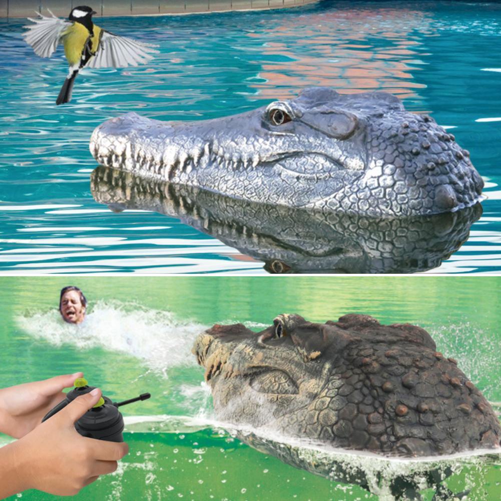 crocodile racing boat