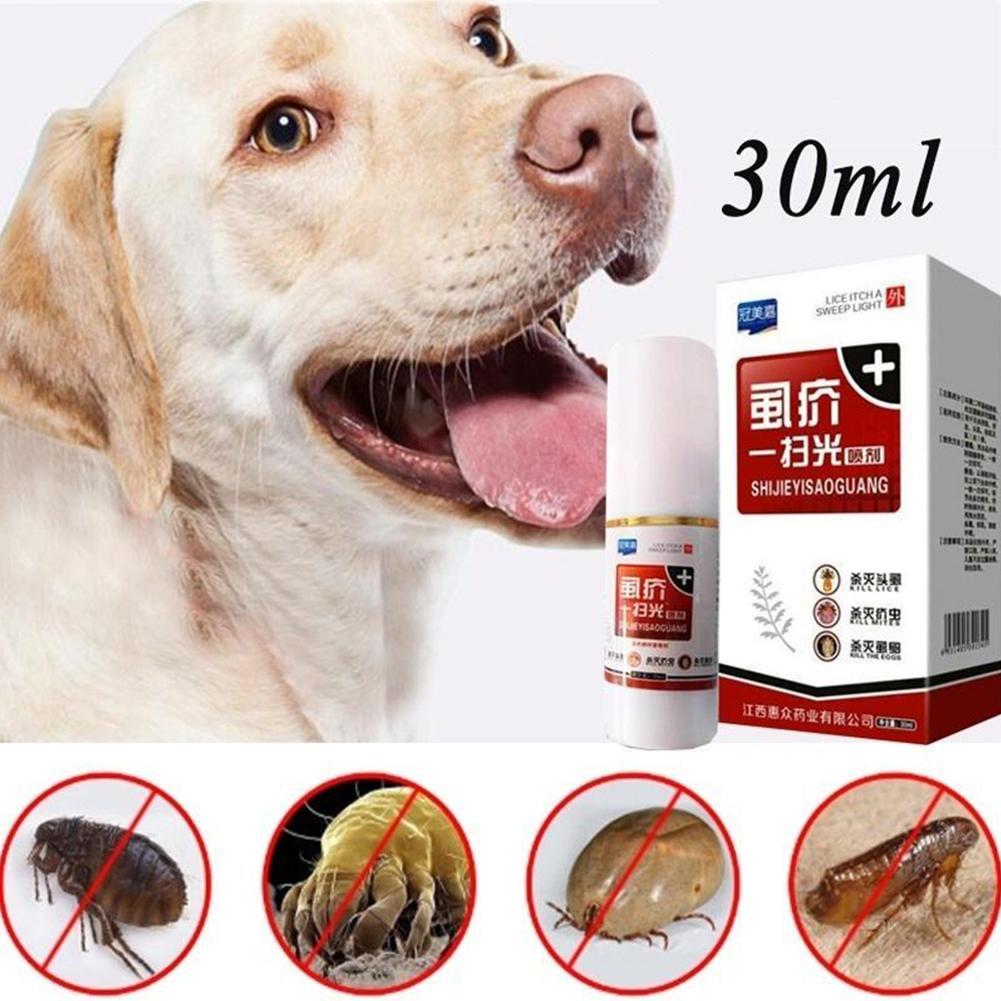 dog flea tick mite treatment