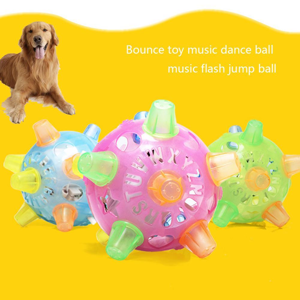 jumping dog toy online