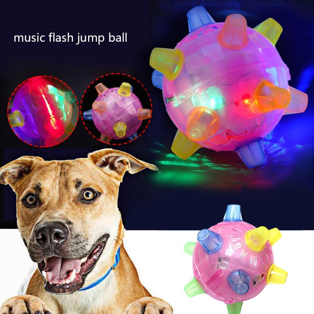 milo activation ball for dogs