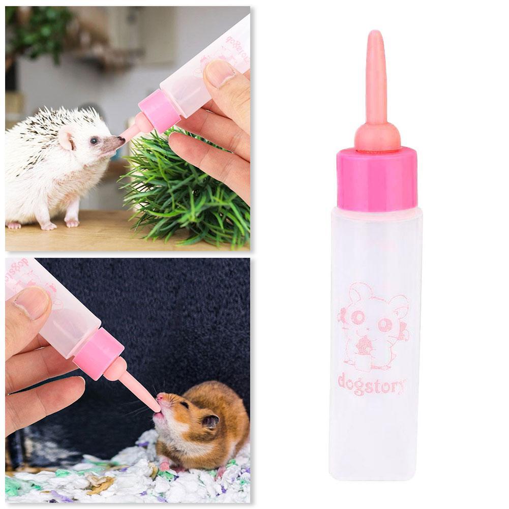 diy feeding bottle for kittens
