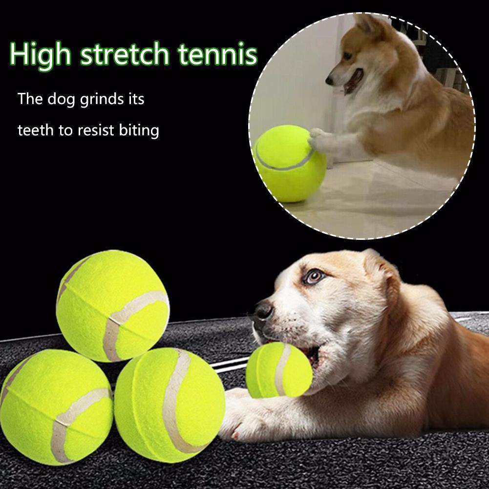 big tennis ball for dogs