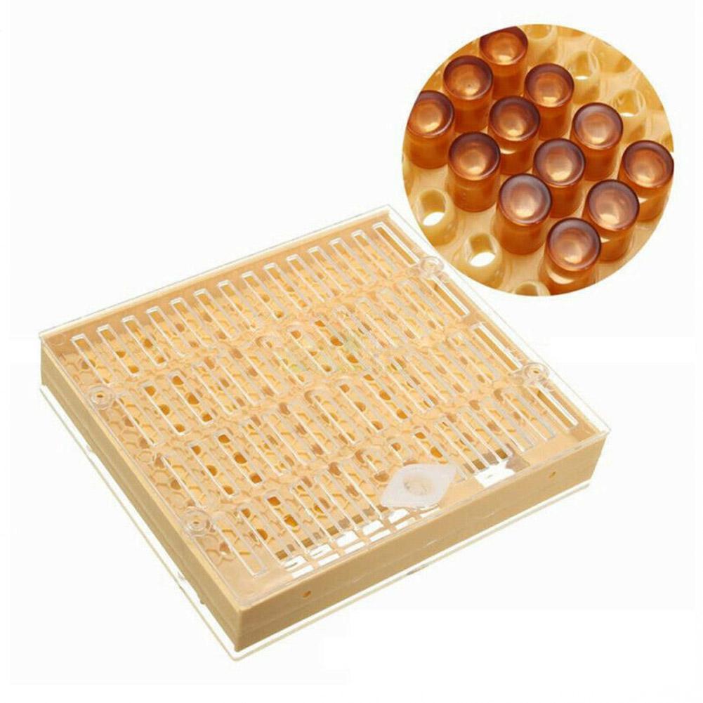131pcs Bee Queen Rearing Cupkit Box System Beekeeping Cage Z4R0 Kit Cell B3C2
